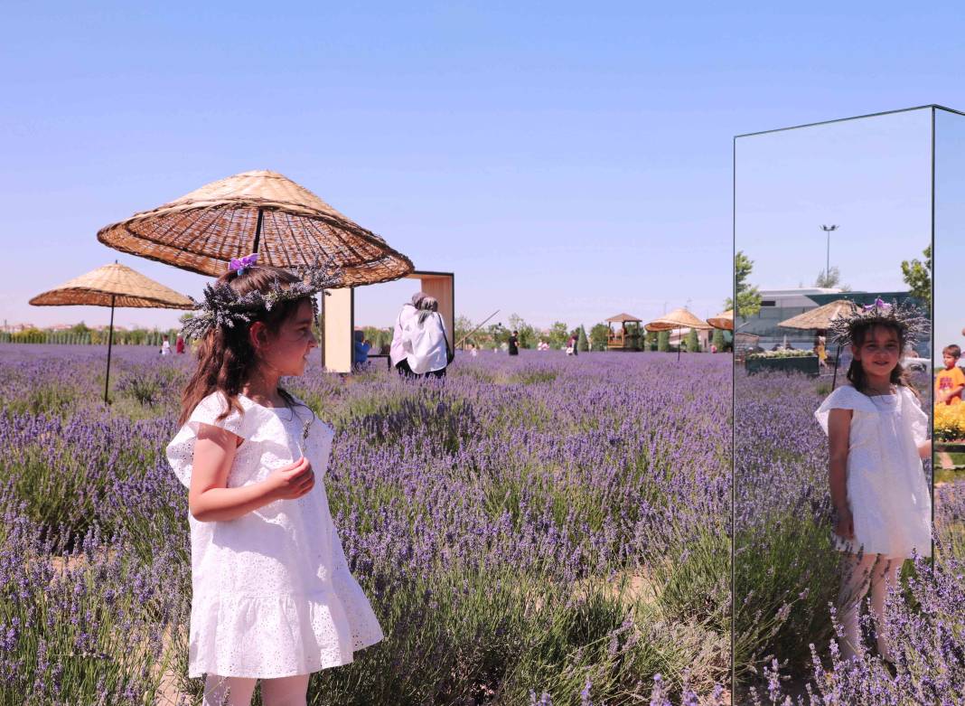 Karatay’ın mor denizi tüm dünyayı peşinden sürükledi! Görmeyen kalmadı 22